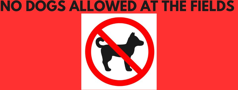 No Dogs Allowed At The Fields